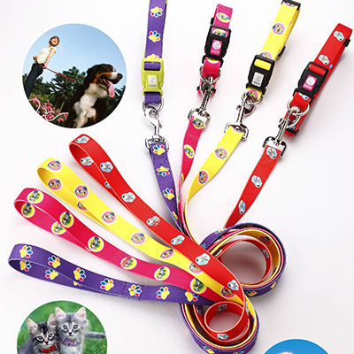 Dog collar & leash